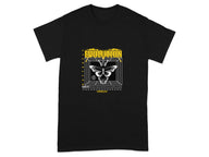 Evolution Moth Graphic Print T-Shirt Product