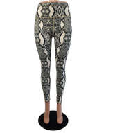 Astur Tailor Made Snakeskin Legging