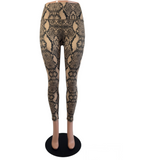 Astur Tailor Made Snakeskin Legging