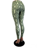 Astur Tailor Made Snakeskin Legging