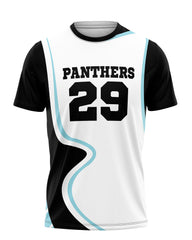 example team jersey panthers number 29